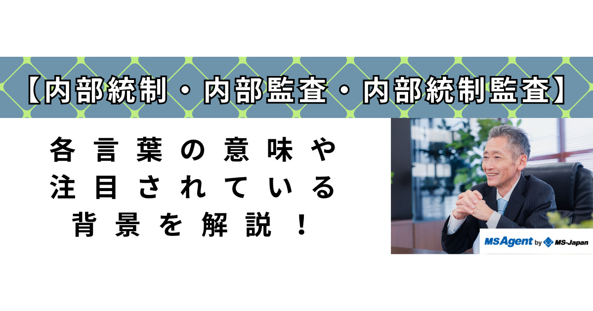 JSOX法で求められる内部監査人の役割と実務―知らないでは済まされない内部監査人の重要な職責 51pyRYLQPtL._UF350,350_QL50_.jpg