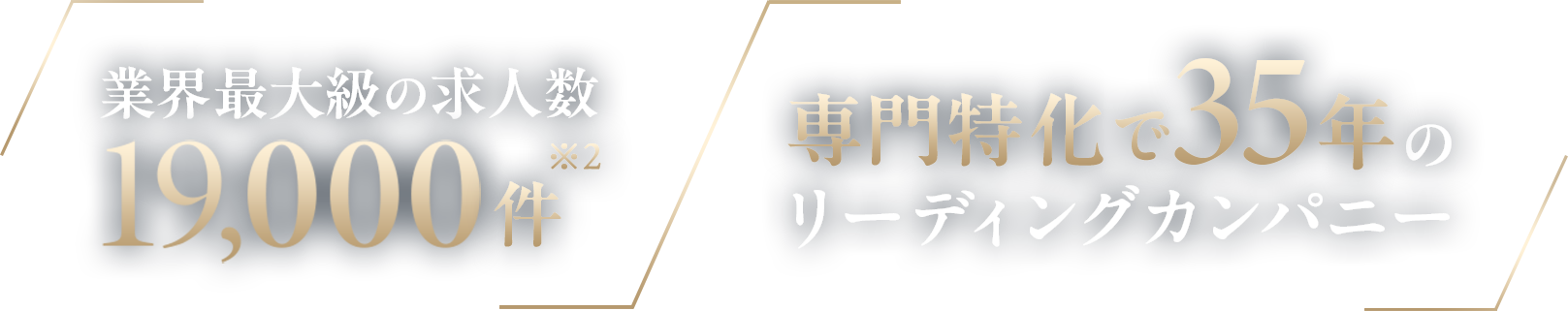 業界最大級の求人数19,000件